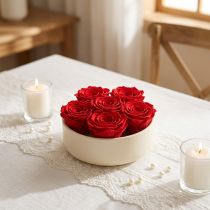 Artikel Infinity Rosen, echte konservierte Rosen, Rot, Ø 6 cm, 6 Stück