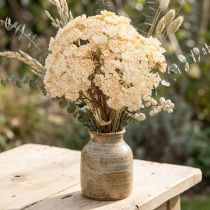 Artikel Schafgarbe künstlich Creme Achillea 30cm 6er Bund