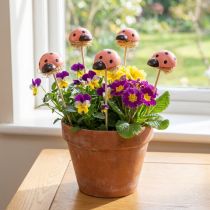 Artikel Marienkäfer Blumenstecker aus Holz, Farbig, 3,5 cm, 24 Stück
