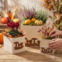 Artikel Pflanzwürfel-Set aus Holz und Metall mit Edelrost-Pilzmotiv, Naturfarben, 3 Grössen, für Herbstdeko