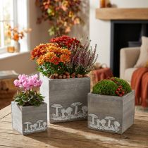 Artikel Holzwürfel-Set grau mit Pilzen, 3er-Set, Pflanzkisten, 20/16/12cm, Herbstdeko