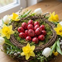 Artikel Wachteleier Rot 3 cm aus Naturmaterial – Osterdeko, 50 Stück