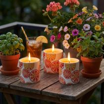 Artikel Citronella-Keramikkerzen 7cm Fruchtmotiv 3 Stück für draussen