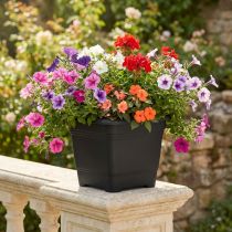 Artikel Blumentopf quadratisch Kunststoff 23x23x18,5cm Anthrazit für Innen und Aussen