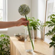 Artikel Künstlicher Allium-Blütenzweig 90 cm Weiss