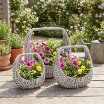 Artikel Weidenkorb-Set mit Griff grau, 43/34/27cm – Innenbereich, dekorativ