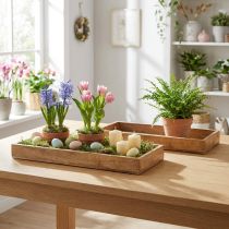 Artikel Holztablett Rechteckig Mangoholz 39×15,5×4cm Naturfarben für Dekoration