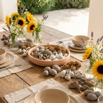 Artikel Potpourri Dekoset aus Naturmaterial mit Schalenfrüchten in Grau Ø18xH5cm für Innenräume