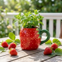 Artikel Keramiktasse Erdbeere Rot Grün Ø6,5cm Bepflanzbar