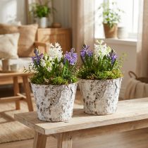 Artikel Deko-Pflanztöpfe aus Birkenrinde weiss Ø18cm H15cm 2er-Set