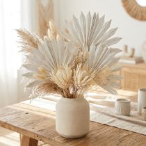 Artikel Palmspear Sun Mini aus Palmenblatt, weissgewaschen, 50 Stück, 35–52 cm