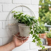 Artikel Blumentopf aus Metall in Weiss Ø37cm mit Wandaufhängung für Innenbereich