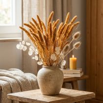Artikel Trockenblumen Borstenhirse Setaria Pumila Orange 72 cm 200 g