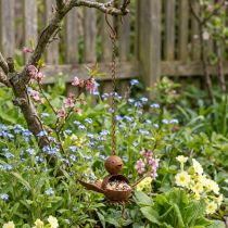 Artikel Metallvogel Futterstelle 13cm Rostoptik für Garten und Balkon