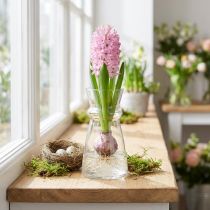 Artikel Glasvase Transparent mit Ø 7 cm und Höhe 13 cm für vielseitige Dekoration