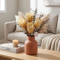 Artikel Getrocknete Protea Repens, creme, 10–12 cm, 25 Stück