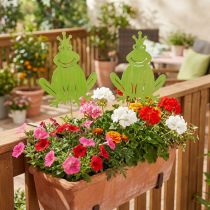 Artikel Gartenstecker Froschkönig Holz 30cm Grün, 62,5cm, 2er-Set