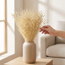 Artikel Trockengras Flachs getrocknet gebleicht Natur 50-55cm 180g für Dekoration