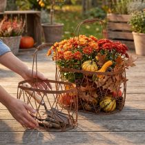 Artikel Drahtkorb Oval mit Henkel 30x37 cm und 25x32 cm Rostoptik, 2er-Set Gartendekoration