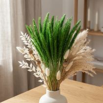 Artikel Getrocknete Grüne Borstenhirse 52cm 28g – Setaria viridis für Dekoration