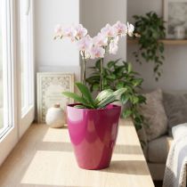 Artikel Orchideentopf glänzend Kunststoff Ø12,5cm Kirsche 1 Stück