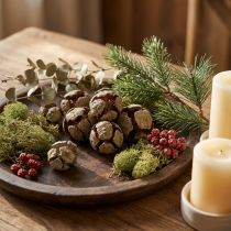 Artikel Zypressenzapfen Natur 500g ca. 3-7cm