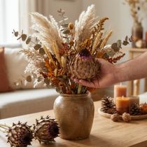 Artikel Artschockenblüte Artischocke getrocknet Cynara Ø9cm 16 St
