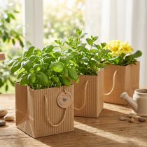 Artikel Papier Blumentopf Pflanztasche Folie Natur 10,5cm 10 St