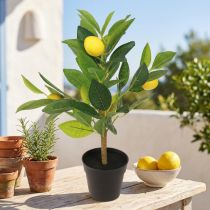 Artikel Künstlicher Zitronenbaum aus Kunststoff im schwarzen Topf, 40 cm hoch, Dekoration für Wohnbereich und Terrasse