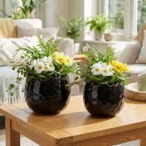 Artikel Blumentopf Keramik Ei Schwarz, 12 cm, 2er-Set, Innenbereich