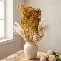 Artikel Trockenblumenstrauss Dill, getrocknet, Naturtöne, 55 cm, für Wohnung und DIY-Dekoration