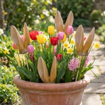 Artikel Gartenstecker Hasenohren aus Keramik, 29 cm, Braun, 4er-Set für Frühlings- und Osterdeko