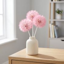 Artikel Trockenblumen Wiesenbocksbart Rosa 12cm – Deko-Set mit 4 Stück