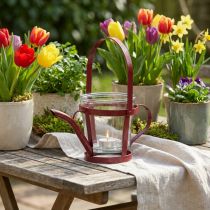 Artikel Windlicht Glas Metall Giesskanne Rot Ø14cm H13cm