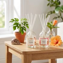 Artikel Raumduft Diffuser aus Glas 19cm 2er-Set Mango und Kokos für den Innenbereich