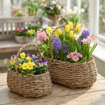 Artikel Pflanzkorb 2er-Set aus Naturmaterial mit Griffen, Innenfolie und Masse 23/35 cm – Dekoration und Bepflanzung