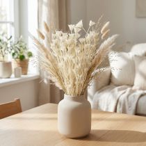 Artikel Nigella orientalis Trockenblumen gebleicht weiss 50cm 100g Bündel für Deko und Floristik