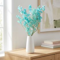 Artikel Getrocknete Silberblatt-Zweige Lunaria Hellblau 20g 65-70cm Trockenfloristik