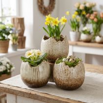 Artikel Keramik-Pflanztopf zerbrochenes Ei 9,5 cm Creme-Braun 3er-Set – Tischdeko und Pflanzgefäss