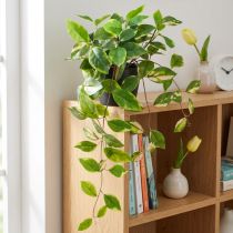 Artikel Philodendron Scindapsus mit Topf 32 cm künstlich grün-cremefarben
