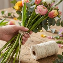 Artikel Juteband Creme Ø 4mm 100m – Dekokordel aus 100% Jute für Geschenk- und Bastelarbeiten