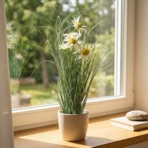 Artikel Gras mit künstlicher Echinacea Weiss im Topf 56 cm