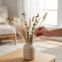 Artikel Cane Cone Holzspiralen gebleicht 50-60cm 25 Stück für Dekorationen