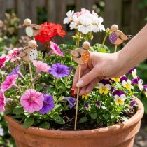 Artikel Holz-Vogel-Gartenstecker bunt 33 cm – Set aus 16 Dekosteckern für Frühlings- und Sommerdekoration