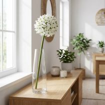 Artikel Deko-Blume Allium, künstlicher Kugellauch, weiss, Ø20cm, L72cm