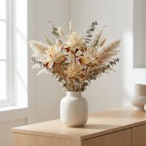 Artikel Leucospermum 1-3 Mix creme 100 Köpfe