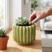 Artikel Keramik Kaktus-Blumentopf 16 cm Grün mit Rillen für Indoor-Dekoration