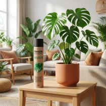 Artikel Oasis Floralife Blattglanzspray 750ml pflanzenschonend für Zimmerpflanzen