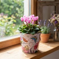 Artikel Blumentopf Kunststoff 15,5x13cm Blumenmuster Rosa Mehrfarbig Innenbereich