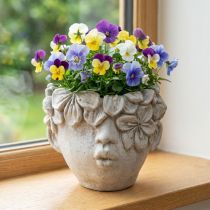 Artikel Pflanzkopf aus Kunststein in Betonoptik, Mädchenmotiv, Höhe 13,5 cm